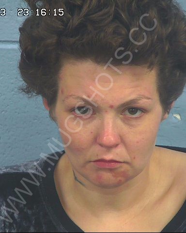 Amanda Denise Phillips Arrested In Etowah County Mugshot