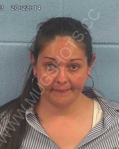 Angela Viola Ramirez Arrested In Etowah County Mugshot