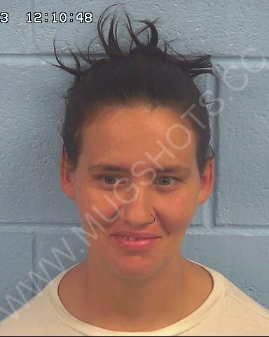 Ashley Christine Bartlett Jones Arrested In Etowah County Mugshot