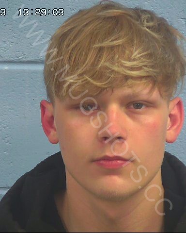 Caleb Luke Green Arrested In Etowah County Mugshot