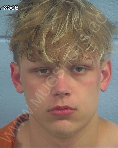 Caleb Luke Green Arrested In Etowah County Mugshot