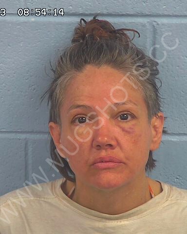 Cynthia Humphries Davidson Arrested In Etowah County Mugshot