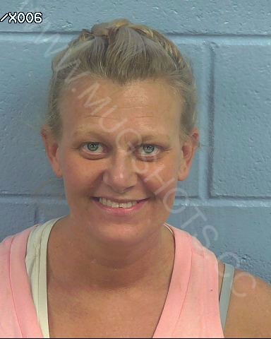 Farrah Sharon Ashley Arrested In Etowah County Mugshot