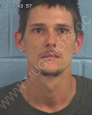 Gavin Eugene Nelson Arrested In Etowah County Mugshot