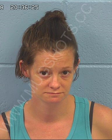 Janey Lynn Beal Arrested In Etowah County Mugshot