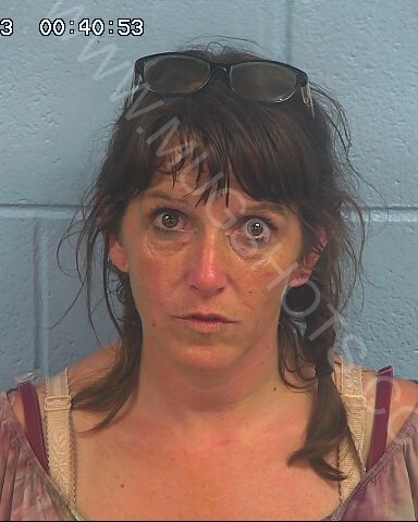 Jillian Dianne Durham Arrested In Etowah County Mugshot