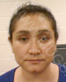 Josefina Trejo Sanchez Arrested In Etowah County Mugshot