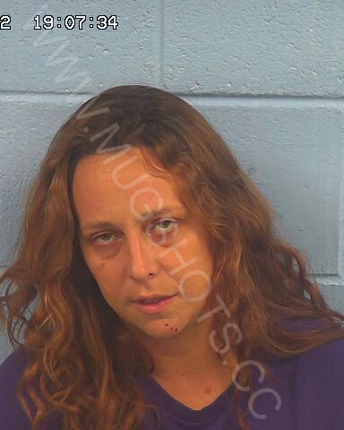 Julie Griffith Brown Arrested In Etowah County Mugshot