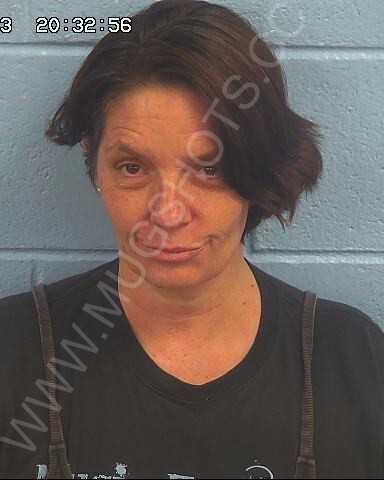 Kelly Michell Tankersley Arrested In Etowah County Mugshot