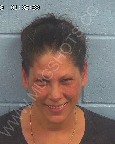 Lisa Johnson Chapman Arrested In Etowah County Mugshot