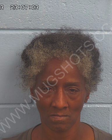 Loressa Annette Richardson Arrested In Etowah County Mugshot