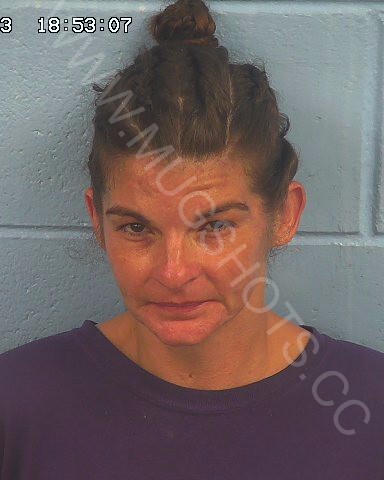 Marla Renee Bearden Arrested In Etowah County Mugshot