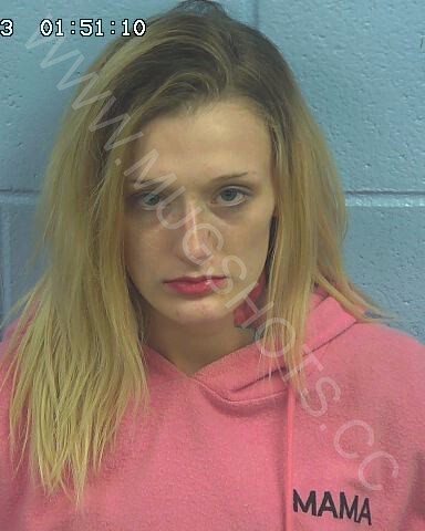 Raylee Montana Hawkins Arrested In Etowah County Mugshot