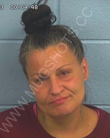 Samantha Diane Douglas Arrested In Etowah County Mugshot