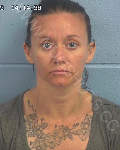 Sarah Jane Alexander Arrested In Etowah County Mugshot