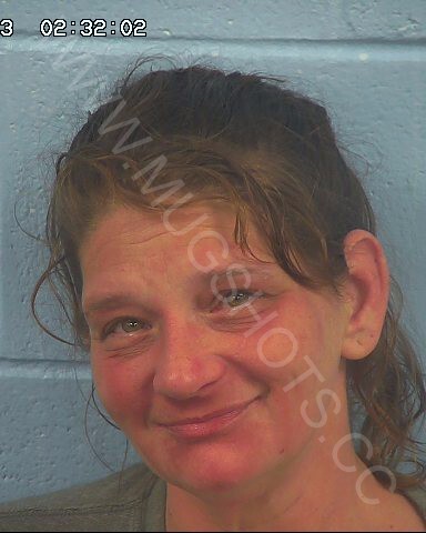 Sherry Danniell Maddox Arrested In Etowah County Mugshot