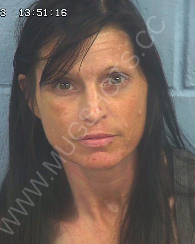 Stacy Ann Hanson Arrested In Etowah County Mugshot