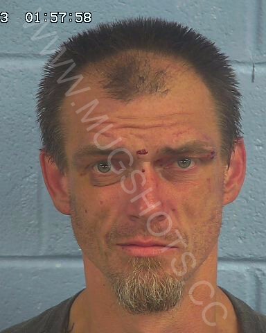 Stephen Talmadge Paul Bohannon Arrested In Etowah County Mugshot