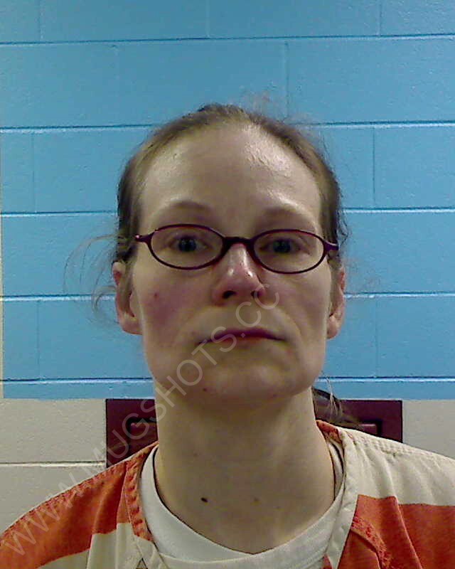 Tonya G Cate Arrested In Etowah County Mugshot